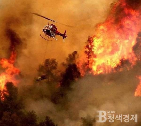 시실리아, 지중해 태운 산불로 유럽에서 최고기온 기록