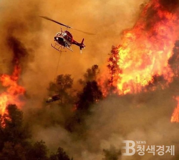 극심한 폭염으로 이탈리아 시실리아 섬 곳곳을 산불이 휩쓸고 지나가면서 시실리아 주(州)에 위치한 도시 관계자들은 지금껏 유럽에서 가장 뜨거울 것으로 여겨질 기온을 기록했다고 지난 11일 보고했다/사진 트위터 제공