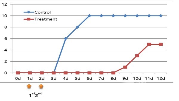 붓순나무 정유 경구투여구가 대조구와 비교해 50%이상의 상대생존율을 나타냄(사진출처/산림청)