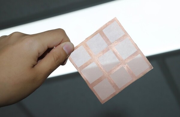 생명연 권오석 박사팀, 피부 일체형 항균 나노 패치 개발