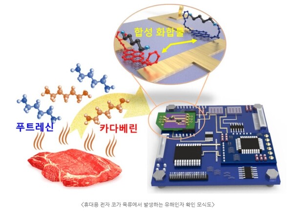 휴대용 전자코 모식도. 한국생명공학연구원 제공