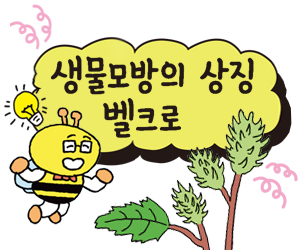 [어린이를 위한 자연은 위대한 스승이다] 생물모방의 상징 벨크로