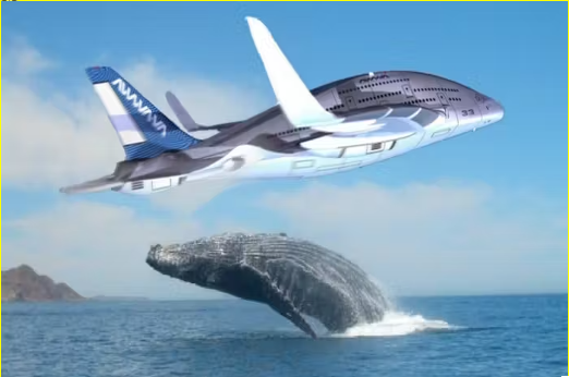 하늘을 나는 고래 비행기 'Sky Whale' 상상도 [사진=Interesting Engineering]