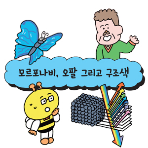 [어린이를 위한 자연은 위대한 스승이다] 모르포나비, 오팔 그리고 구조색