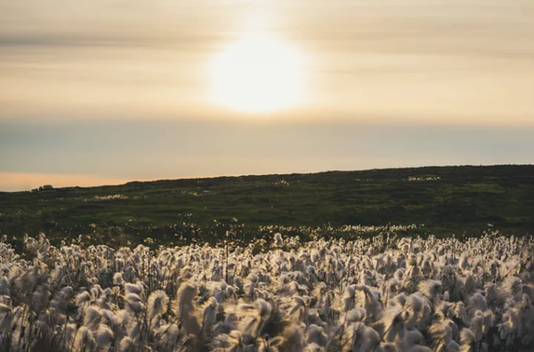 [사진=Nick Kane on Unsplash]