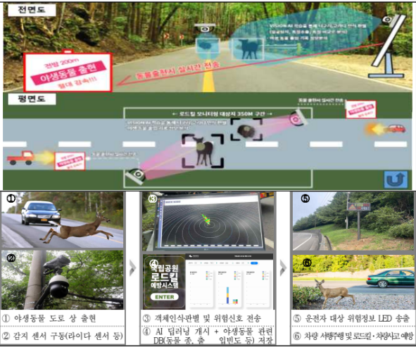 국립공원공단, AI 활용한 야생동물 로드킬 사고 예방 시스템 시범 도입