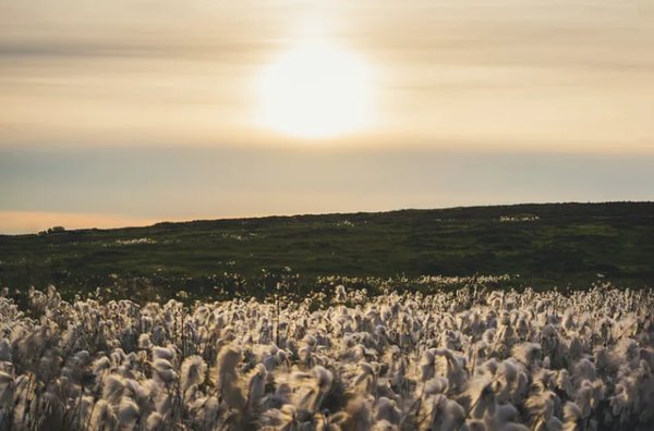 [사진=Nick Kane on Unsplash]