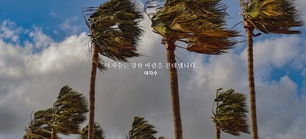 풍력 터빈 날개, 야자수가 가르쳐준 청색기술 적용해 안전한 에너지 생산한다