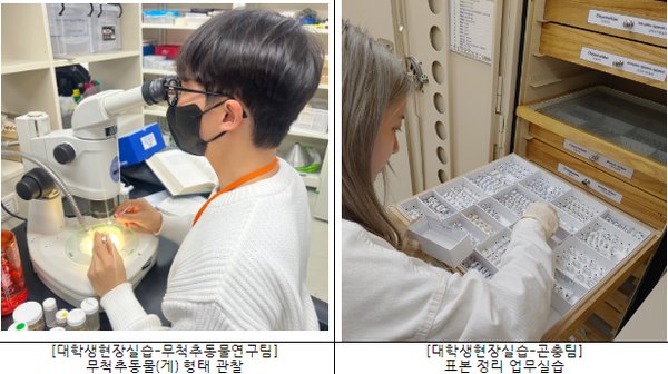 [사진=환경부]