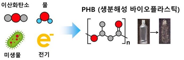 수소 산화 박테리아 모방...탄소 먹는 바이오플라스틱 나온다