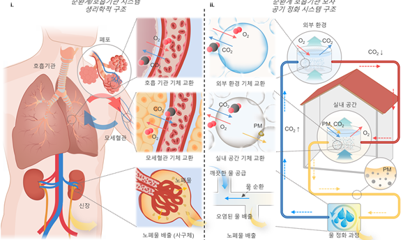 인체 호흡기·순환계 모방한 신개념 미세버블 공기정화 기술 등장