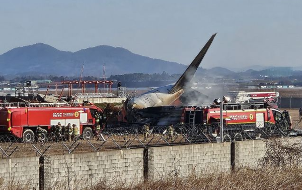 이상기류 이어 버드스트라이크까지...기후위기 따른 항공사고 대책마련 시급
