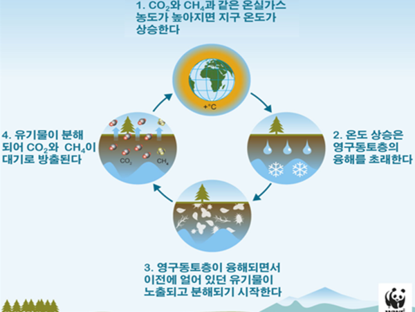 영구동토층 탄소 반응에 대한 모식도. 사진=서울대
