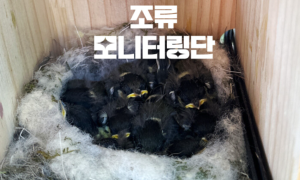 후지필름 '조류 모니터링단' 참여 열기 고조..."생물다양성 보존 관심"