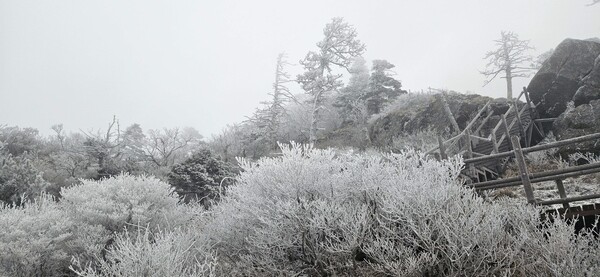 지리산에 겨울 신호탄...올해 첫눈·첫 상고대 동시 관측