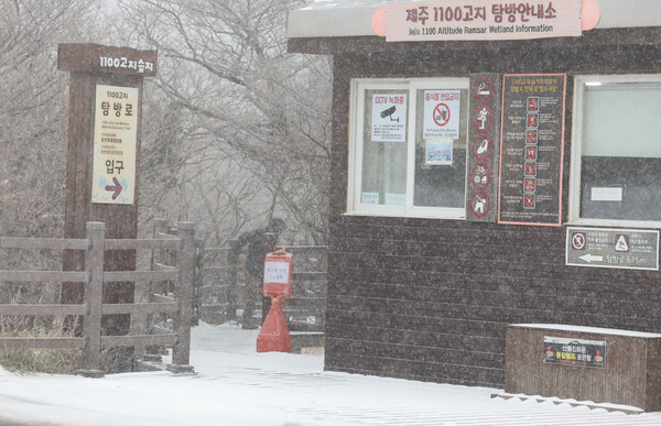 순백의 겨울왕국으로 변신한 한라산…산지 대설주의보에 1100고지 설경 장관