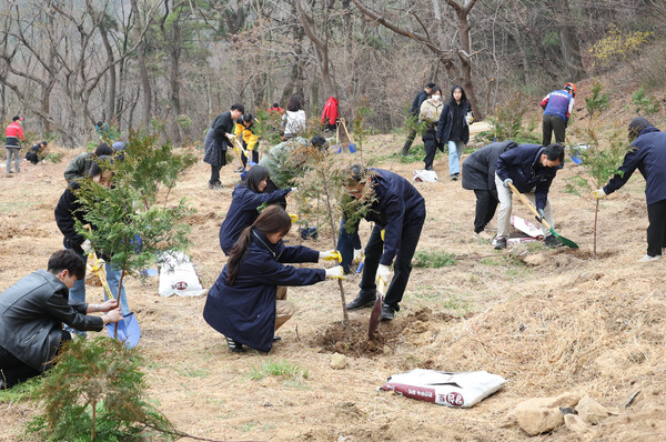 "백양산에 심은 푸른 희망" 부산진구, 제81회 식목일 기념 식재 행사