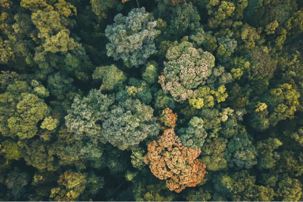 UNEP, "2030년까지 자연 기반 투자 2.5배 늘려야" 경고
